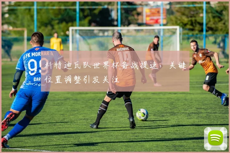 科特迪瓦队世界杯备战提速,关键位置调整引发关注
