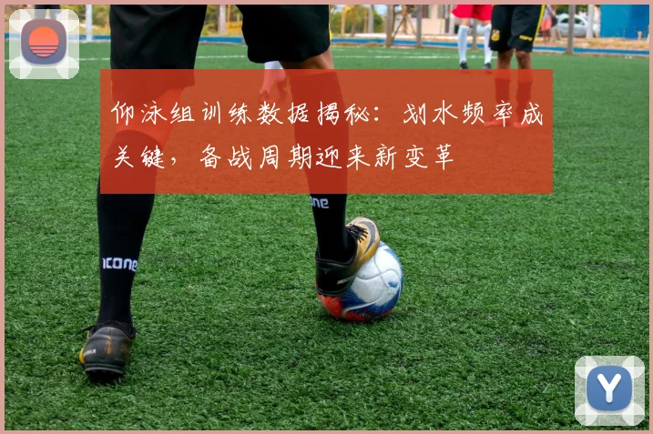 仰泳组训练数据揭秘：划水频率成关键，备战周期迎来新变革