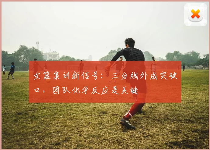 女篮集训新信号：三分线外成突破口，团队化学反应是关键